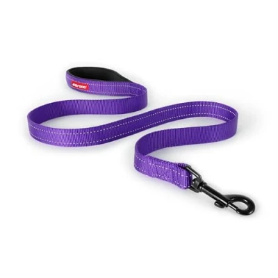 Image of EzyDog Essential Lead Training Lead, Small Dogs, Medium Large Sturdy Dog Comfortable Padded Handle, Reflective Thread, 1.2M (Purple)