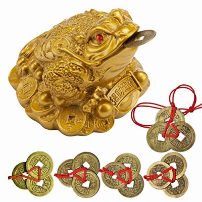 Image of YODOOLTLY Lucky Money Frog Feng Shui Toad and 5 Sets Chinese Coins Fortune Coin I ching with Red String Charm for Prosperity Home Decoration Gift