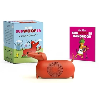 Image of Mini SubWOOFer: Wireless Speaker (RP Minis)