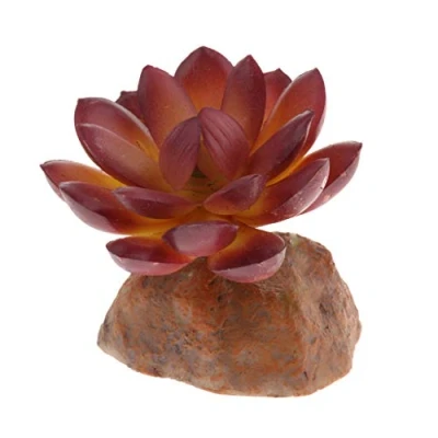 Image of Baoblaze TERRARIUM MULTI MINI GROUND DESERT PLANT REPTILE DECOR VIVARIUM, 1