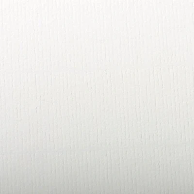 Image of Clairefontaine Ref 93480C Ingres Pastel Coloured Paper (Pack of 25 Sheets) 50 x 65cm, 130gsm Drawing Paper, White Suitable for All Dry Techniques