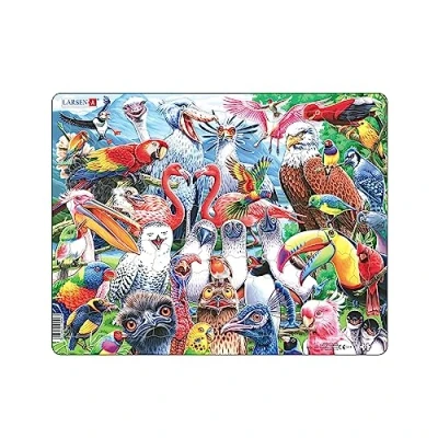 Image of Larsen CZ5 Cheerful Birds from All Over the World Jigsaw Puzzle for Children Ages 6 and Up 115 Pieces Fun Kids Boys &amp; Girls Boxless Tray Frame Included