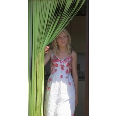 Image of Slat type Door Curtain,Bug Blind,Fly Blind,Strip Blind &#039;CITRUS&#039; 80cm wide x 200cm drop