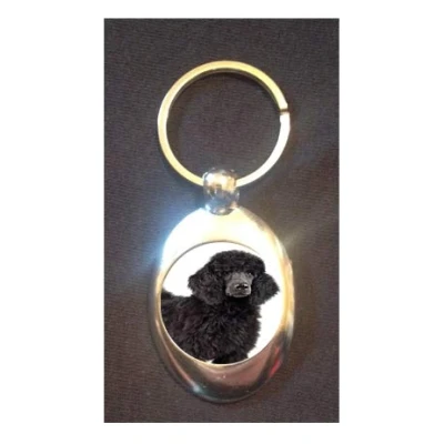 Image of DottsMusic Black Poodle Dog Cute Pet Design on Shopping Trolley Keyring Token (£1 Coin)