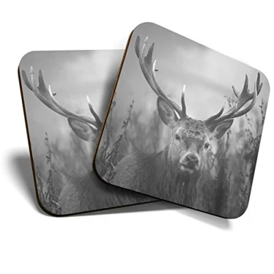 Image of 2 x Square Coasters Wild Stag Deer Highlands Fun Cork Backed Home Kitchen Accessory Tea Coffee Mug Mat #38119