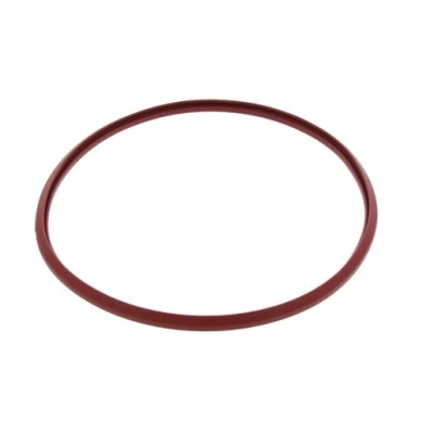 Image of Remeha Gasket for Coverplate Heat Exchanger Pack of 10 720538401