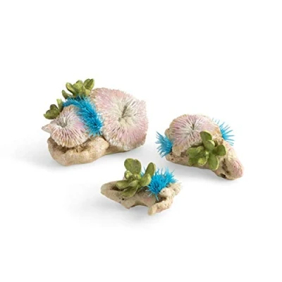 Image of biOrb Plate Corals &amp; Button Polyps Set