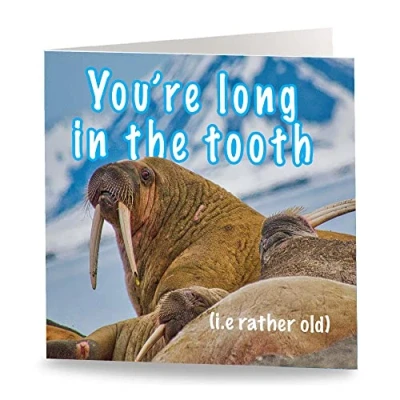 Image of Maturi &#039;Long in the Tooth&#039; Funny Humorous Birthday Greetings Card Blank Inside, 15.5 x cm