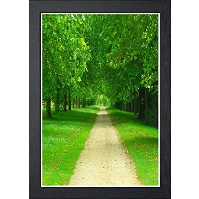 Image of Black Photo Frames Picture Poster Real Wood Glass Modern Frame 500mm x 400mm
