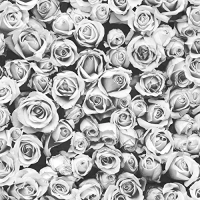 Image of Muriva Rosalee Grey Wallpaper 158501 Feature Small Roses Floral Photographic
