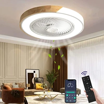 Image of Wildcat Ceiling Fan with Lighting, LED Light Remote Control Invisible Quiet Lamp for Dining Room Living Bedroom [Energy Class F]