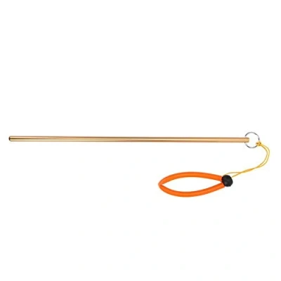 Image of Scuba Diving Pointer Aluminum Alloy Tickle Stick with Measurement &amp; Lanyard replacement for Diving(Golden)