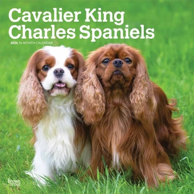 Image of Cavalier King Charles Spaniels Calendar 2026