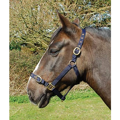 Image of Rhinegold Nylon Headcollar, Cob, Navy