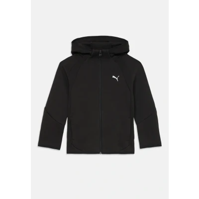 Image of PUMA EVOSTRIPE Full Zip Hoodie DK B