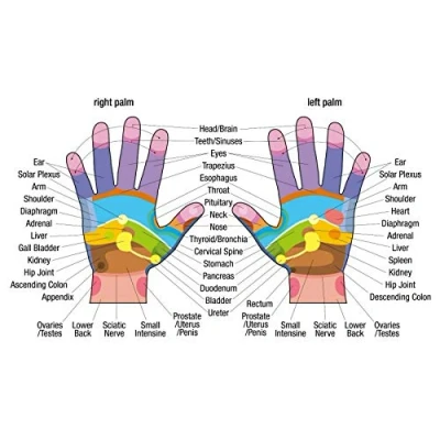 Image of Inga Hand Reflexology Chart Poster Print Home Decor Art Wall Metal Sign 8x12 inches