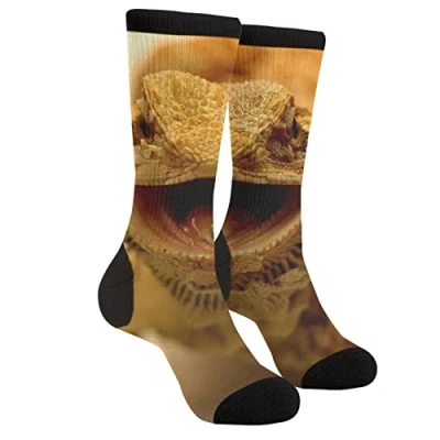Image of EujGvboU Funny Casual Funky Novelty Socks For Men Women