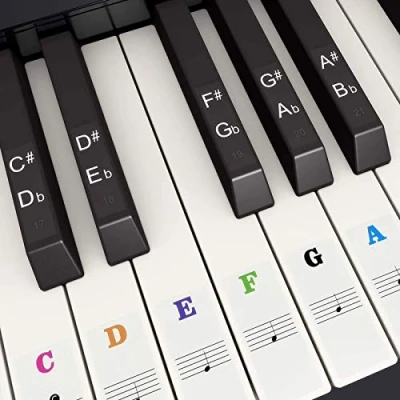 Image of Fansjoy Piano Keyboard Stickers for 88/61/54/49/37 Keys, Colorful Large Bold Letter Key Stickers, Transparent &amp; Removable Note Labels Kids Beginners Learning