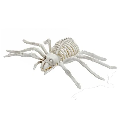 Image of Quickdraw Halloween Skeleton Decorations Animal Skeletons Spider Snake &amp; Tarantula Creepy Scary Prop Decoration Realistic Bones Party Decor (Tarantula)
