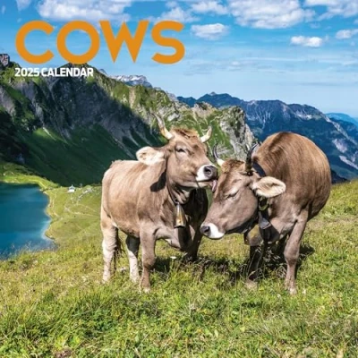 Image of Cows 2025 Calendar