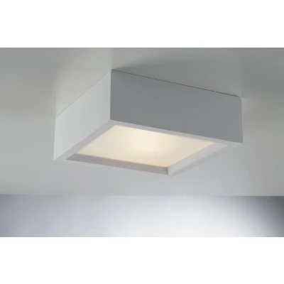 Image of GABRIEL 2 Light Surface Mounted Downlight White 25x25x8.5cm
