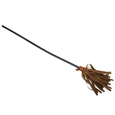 Image of Zac&#039;s Alter Ego Fancy Dress Toy Wizard/Witch Broom