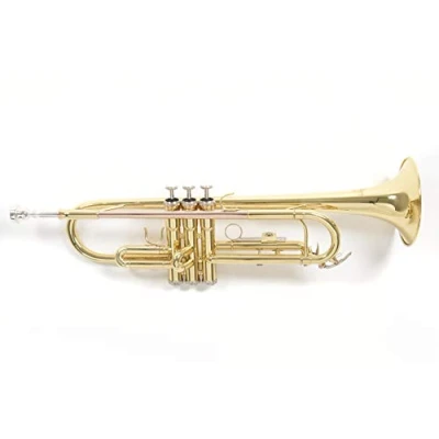 Image of Roy Benson Bb Trompete MOD.TR 101 lackiert, inkl. Etui