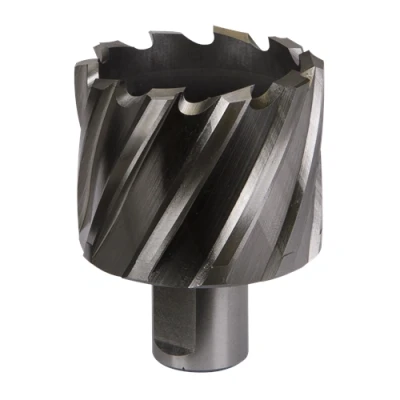 Image of Worksafe Rotabor Cutter HSS Ø48mm Cut Depth 25mm