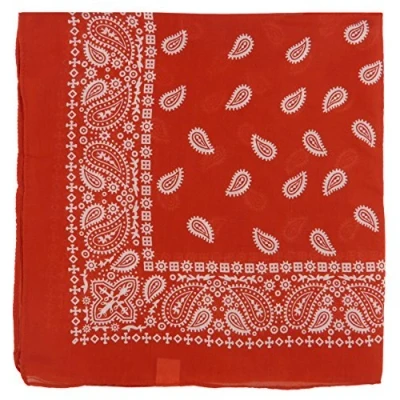 Image of Uknown Large Paisley Bandana Bikers Head SCARF Soft Lightweight 24&quot; x