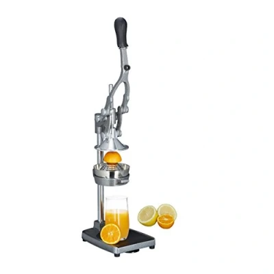 Image of Relaxdays Manual Juicer with Slicer, Stainless Steel, Silver, 40.5 x 17.5 47.5 cm