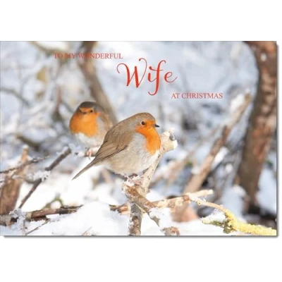 Image of doodlecards Wife Christmas Card Medium Size with Plain Envelope