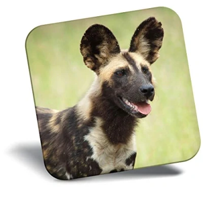Image of Destination Vinyl ltd Fridge Magnet African Wild Dog Africa Animal 16259