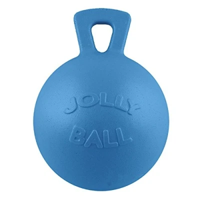 Image of BR Toy Jolly Ball 10&quot; Blueberry Scent 25 Light Blue