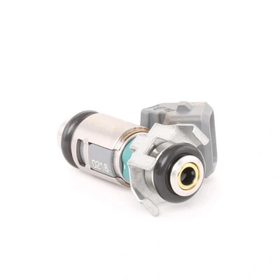 Image of IWP042 Injector MAGNETI MARELLI 805001446001 RENAULT: CLIO 2, SCENIC TRAFIC 2 Kasten