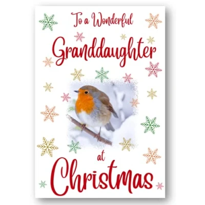 Image of Second Ave Granddaughter Christmas Robin Xmas Holiday Festive Greetings Card