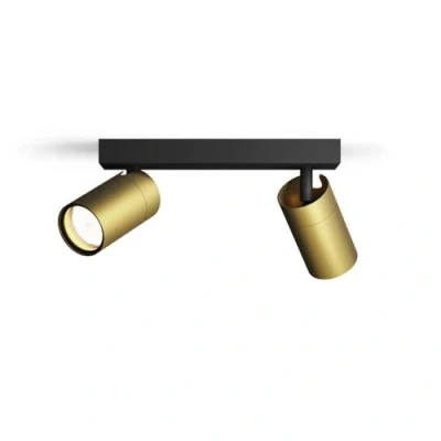 Image of Philips Idris 2 Head spot, GU10 lamp not Included, Brass, IP44, Water Resistant