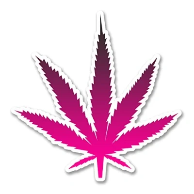 Image of 2 x 10cm Cannabis Vinyl Sticker Decal Leaf Laptop Medical Weed Marijuana #6264 (10cm 10cm)