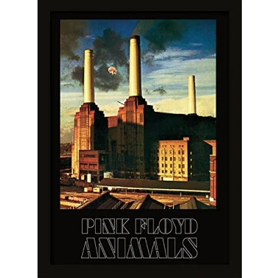 Image of Pink Floyd Animals A3 Framed Print