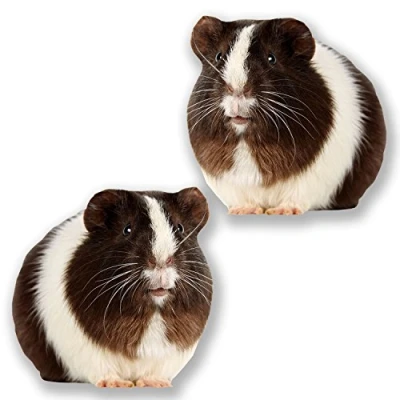 Image of 2 x 10cm Guinea Pig Vinyl Sticker Decal Car Laptop Tablet Animal Cute #6617 (10cm 10cm)