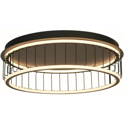 Image of Circolo Cage LED Flush Ceiling Light, Black Metal