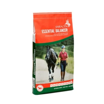 Image of Saracen Essential Balancer 20 kg