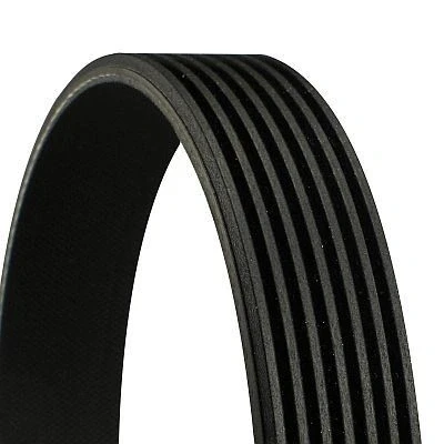 Image of 117205453R V ribbed belt CONTITECH 7PK1240 1240mm 7 SMART: Forfour II Hatchback, Fortwo III Coupe, ALFA ROMEO: 164