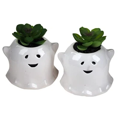 Image of Gem Imports Halloween Ghoul Ghost Artificial Succulent Plants In Novelty Pots (Set of 2)