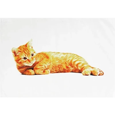 Image of Half a Donkey The Big Ginger Cat Large Cotton Tea Towel