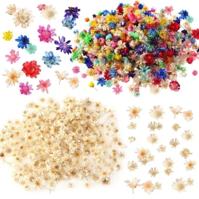 Image of VEHYEGOI 300 Pieces Of Dried Flower Decorations, Mini Flowers, Flowers For Crafts, Diy Can Be Used To Decorate Resin Jewelry, Candles, Scrapbooks, Etc.