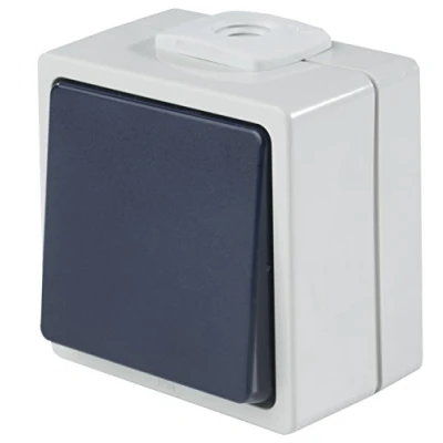 Image of as Schwabe 62452 Button IP54 Grey, 230 V, Gray, 8.3 cm