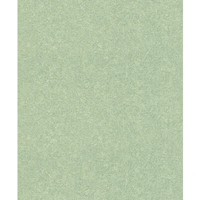 Image of Rasch paperhangings Non Woven Wallpaper (universell) Green 10,05 m x 0,53 Composition 554472