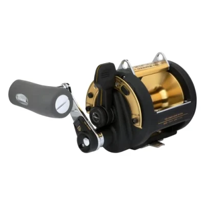 Image of Reel TLD II A 50lb 2 speed LRS