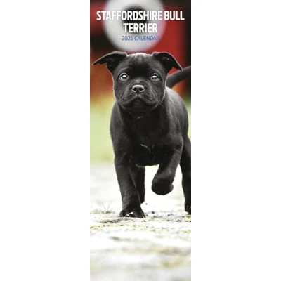 Image of Staffordshire Bull Terrier 2025 Slim Calendar
