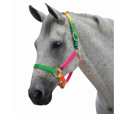Image of Roma Rainbow Pony/Horse Headcollar: Full